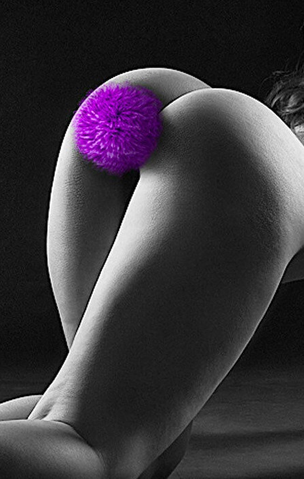 Plug Anal Gold e Pompon Purple RF01300
