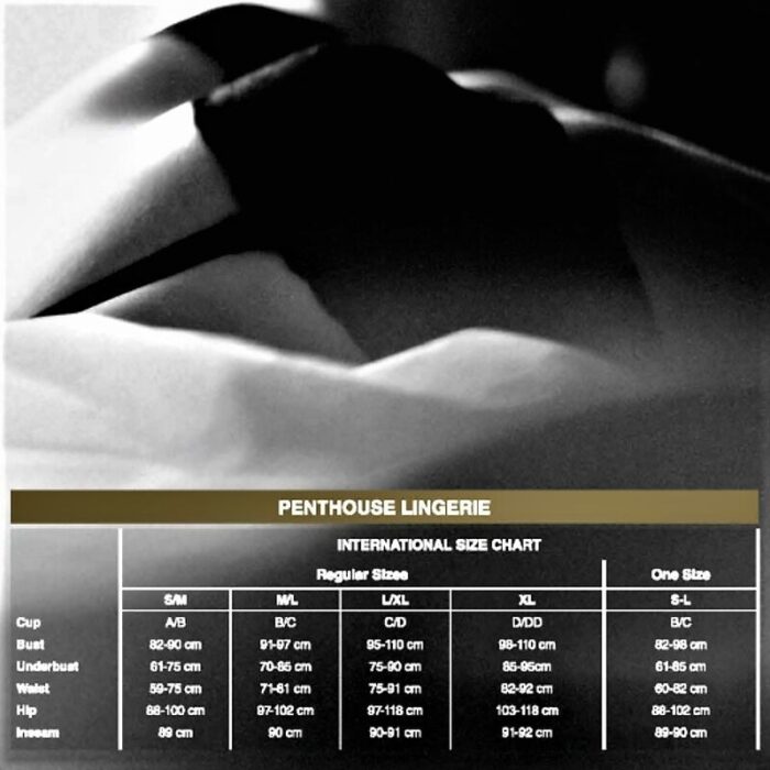 PENTHOUSE – OPEN SECRET TANGA ROSA L/XL