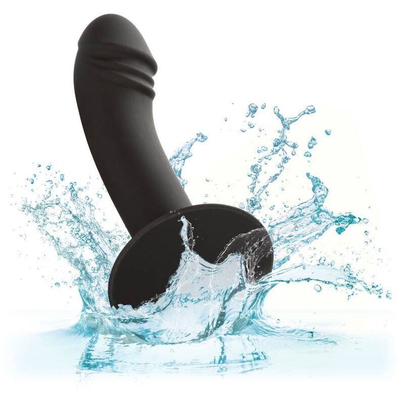 CALEXOTICS - ESTUDO ANAL CURVO - Image 5