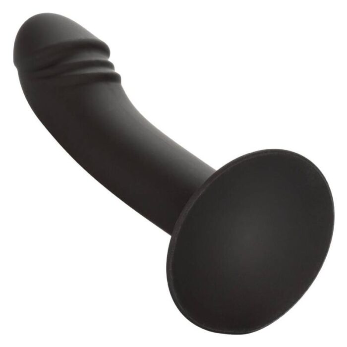 CALEXOTICS – ESTUDO ANAL CURVO