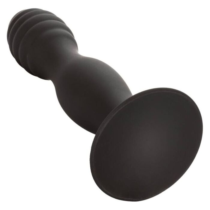 CALEXOTICS – ESTUDO ANAL COM NERVURAS