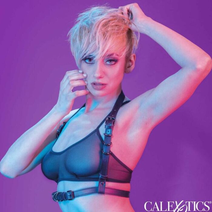 CALEXOTICS – EUPHORIA ARNÊS DE FIVELA HALTER PRETO