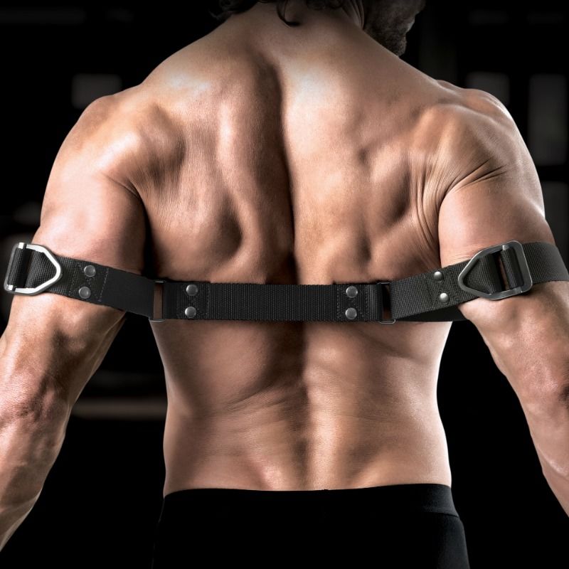 SIR RICHARDS - COMANDO BÍCEPS BENDER - Image 4