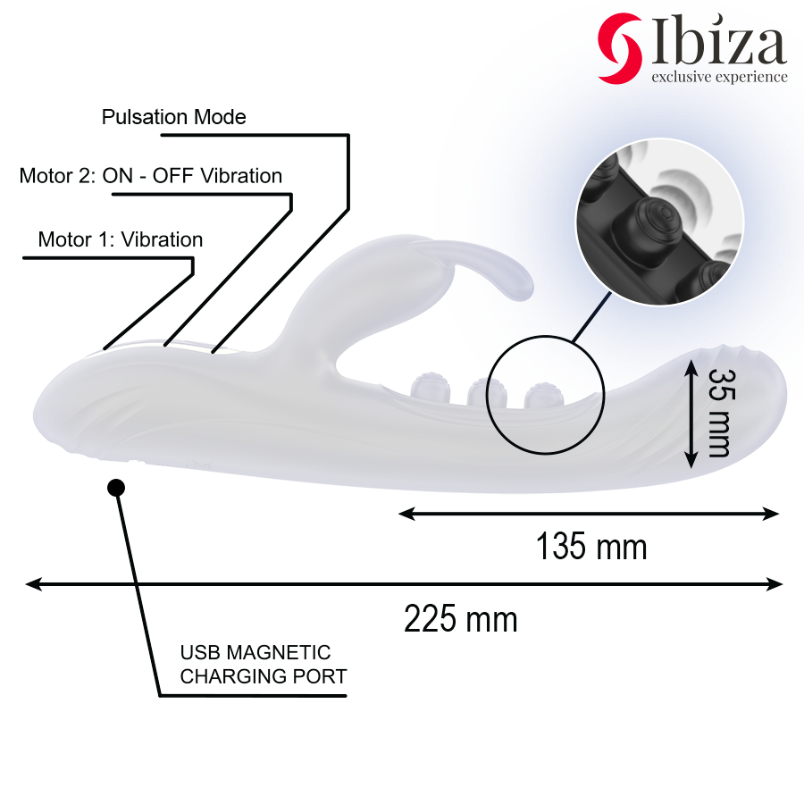 IBIZA - COELHO VIBRANTE COM PULSAÇÃO - Image 5